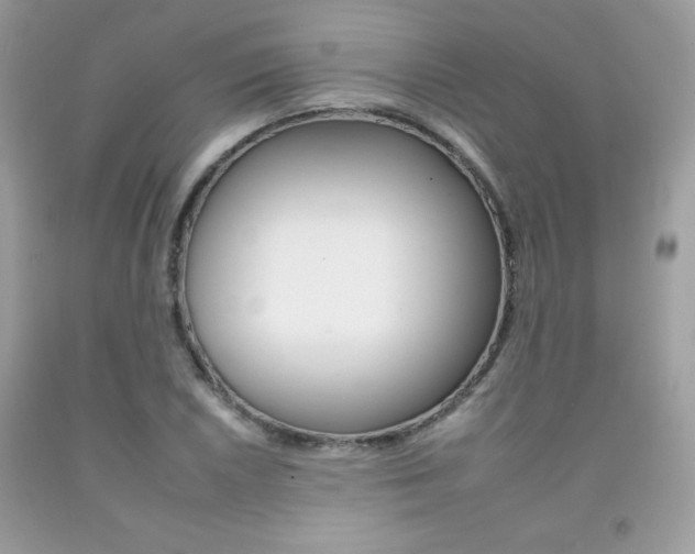 X0000092261026200709141022