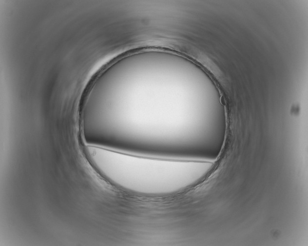 X0000092261028200709141022