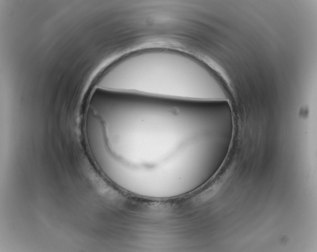 X0000092261029200709141022