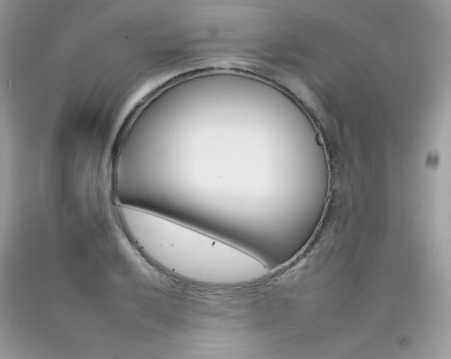 X0000092261032200709141022