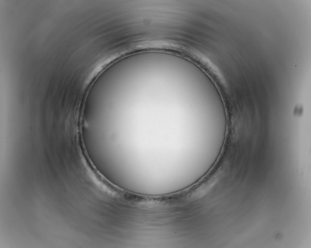 X0000092261033200709141022