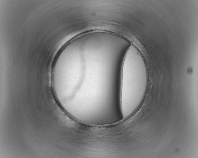 X0000092261036200709141022