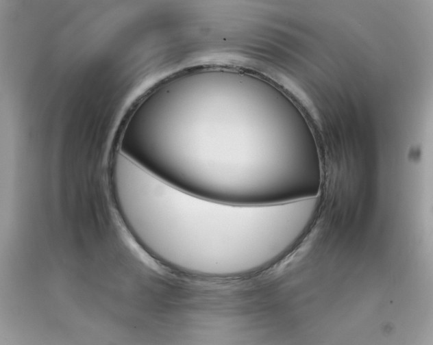 X0000092261037200709141022