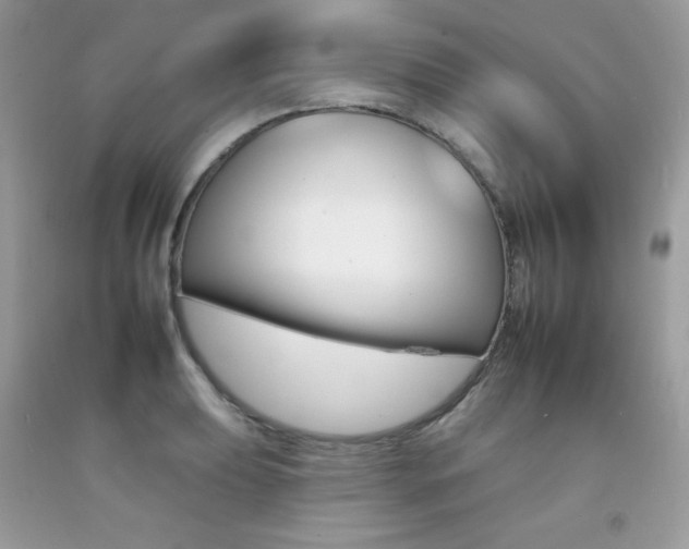 X0000092261039200709141022