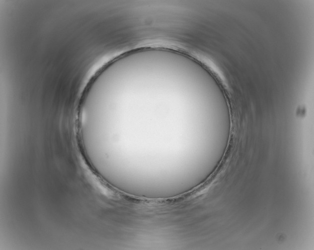 X0000092261040200709141022