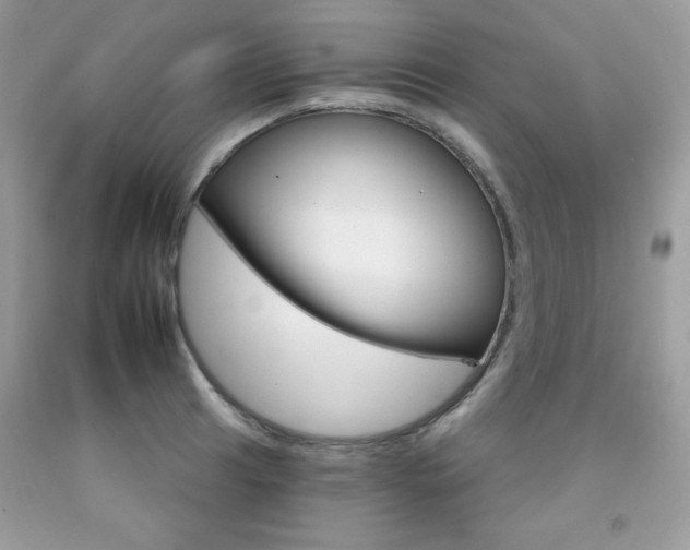 X0000092261041200709141022