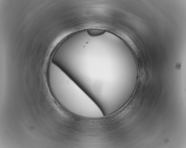 X0000092261043200709141022