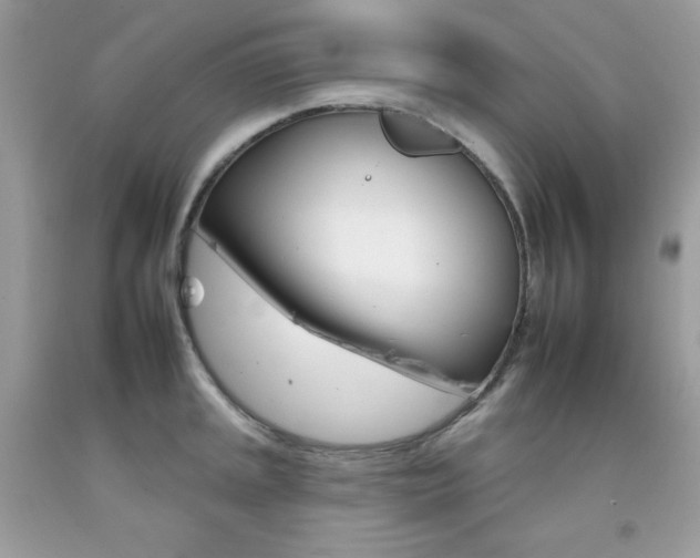 X0000092261045200709141022