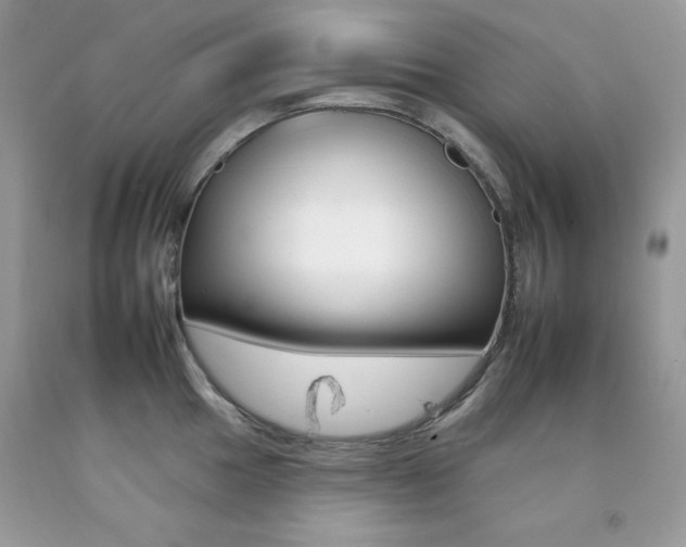 X0000092261049200709141022