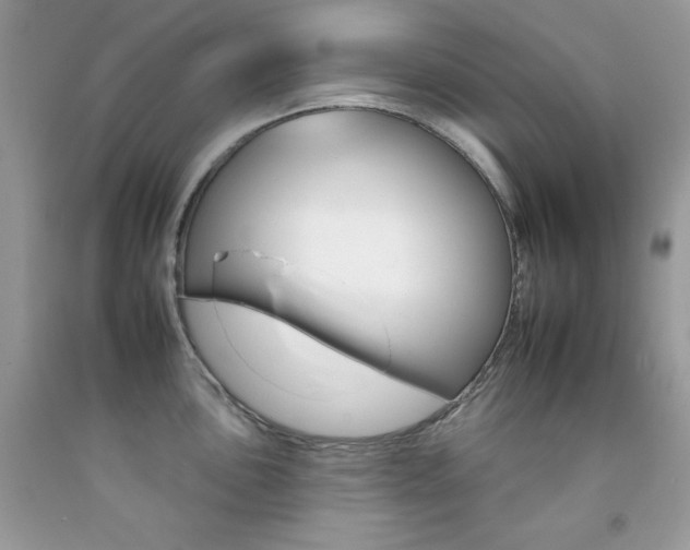 X0000092261051200709141022