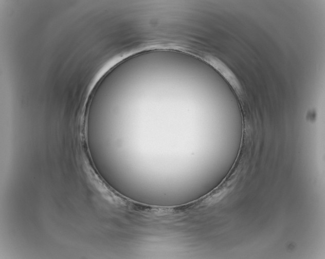 X0000092261052200709141022