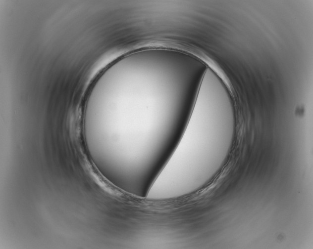 X0000092261053200709141022