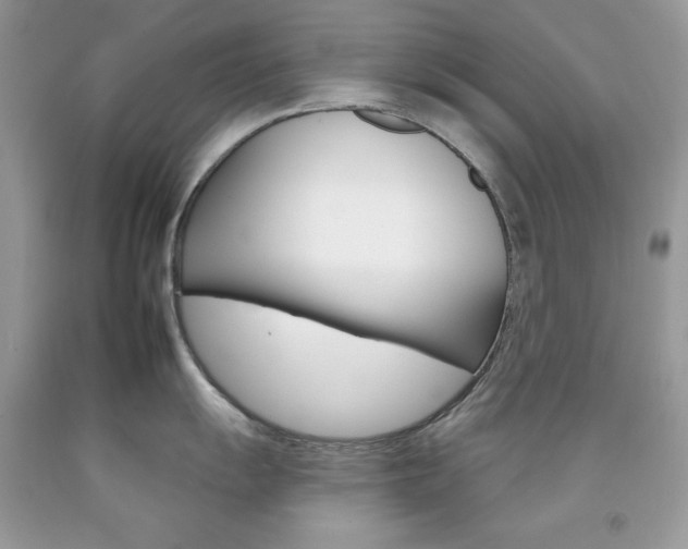 X0000092261055200709141022
