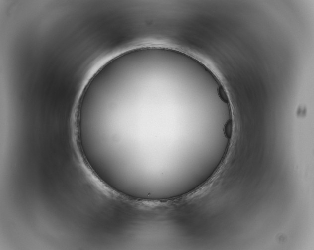X0000092261056200709141022