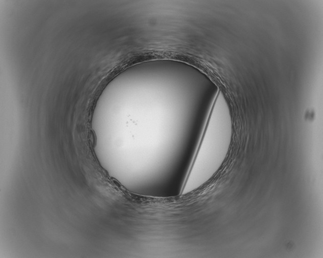 X0000092261057200709141021