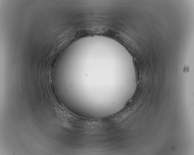 X0000092261058200709141021