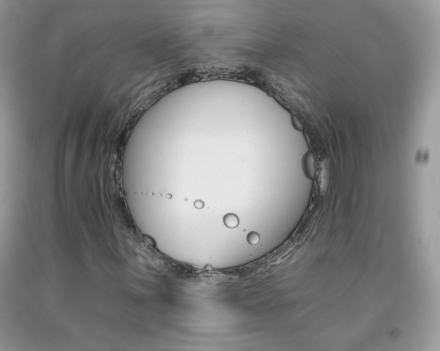 X0000092261059200709141021