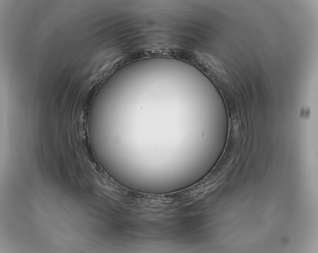 X0000092261060200709141021