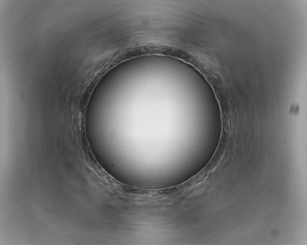 X0000092261061200709141021