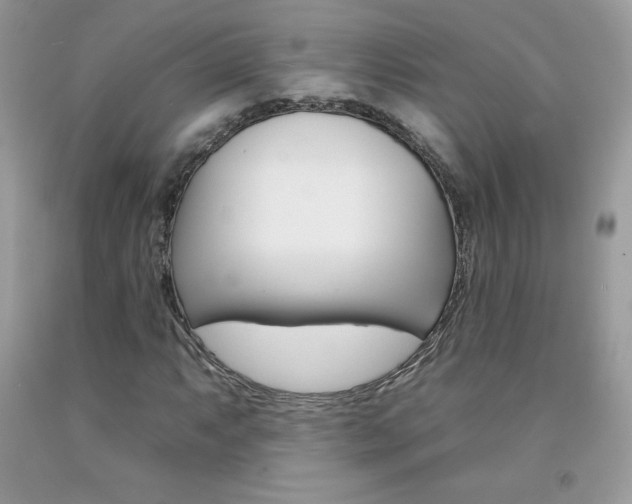 X0000092261063200709141021