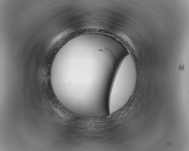 X0000092261064200709141021