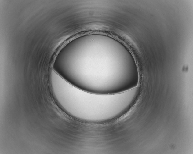 X0000092261065200709141021
