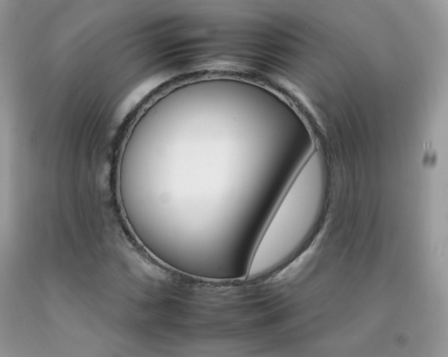 X0000092261066200709141021