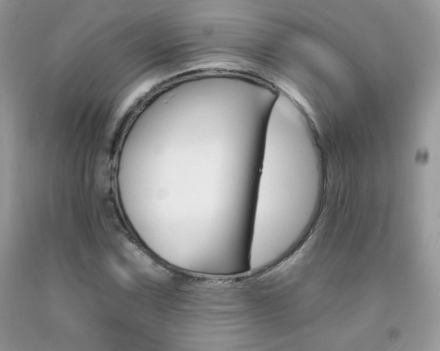X0000092261067200709141021