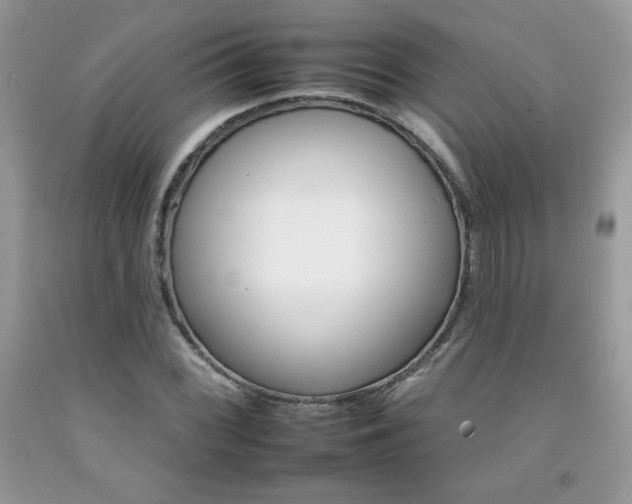 X0000092261068200709141021