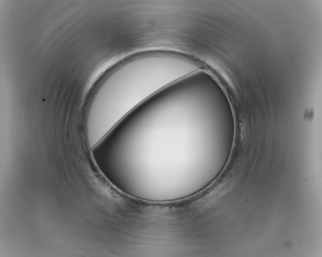 X0000092261069200709141021
