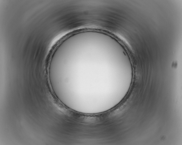 X0000092261070200709141021