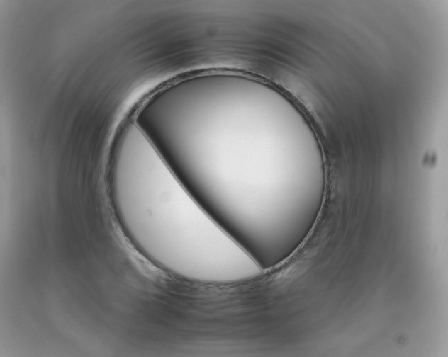 X0000092261072200709141021