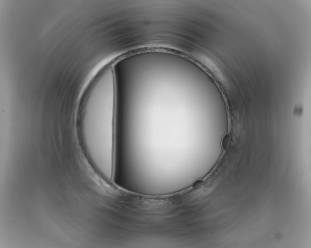 X0000092261076200709141021