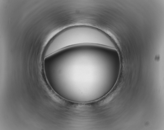 X0000092261077200709141021
