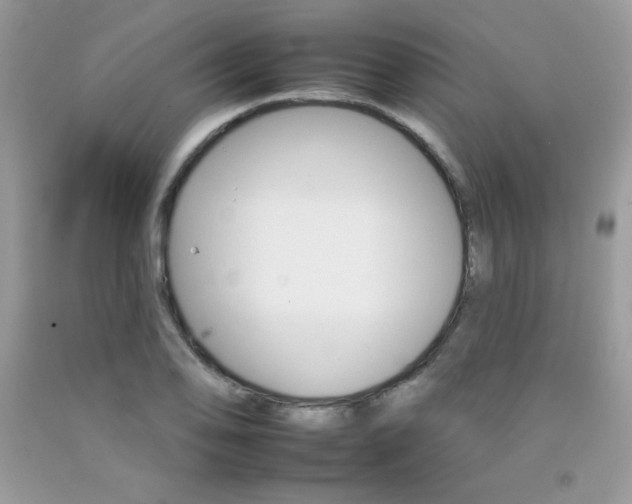 X0000092261078200709141021