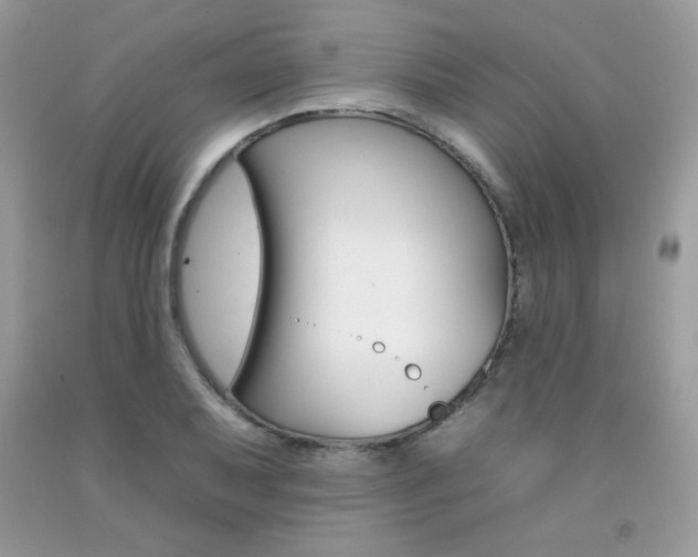 X0000092261079200709141021