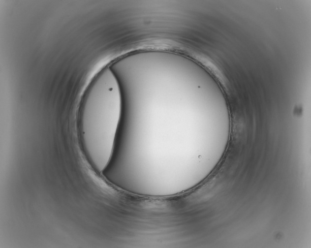 X0000092261083200709141021