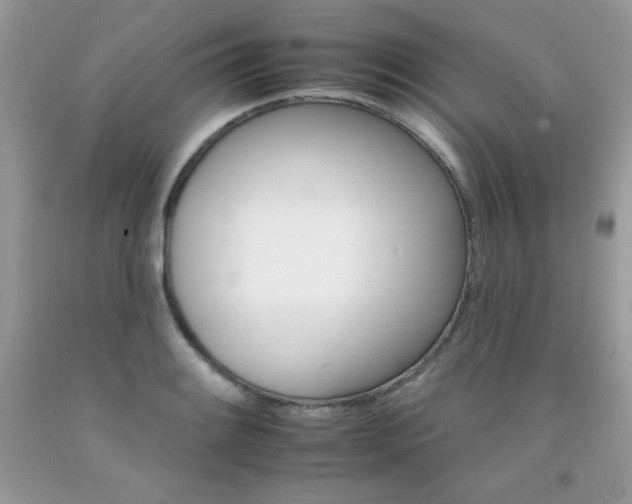X0000092261084200709141021