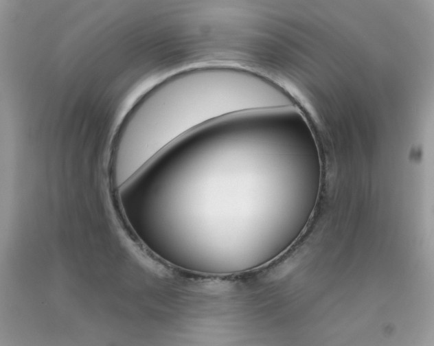 X0000092261085200709141021