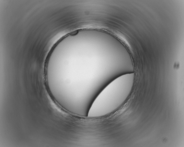X0000092261087200709141021
