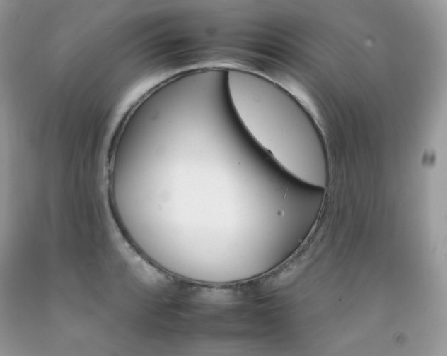 X0000092261088200709141021