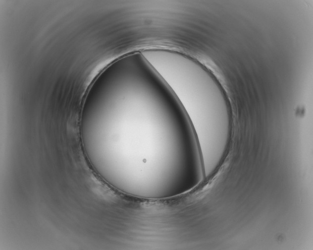 X0000092261089200709141021