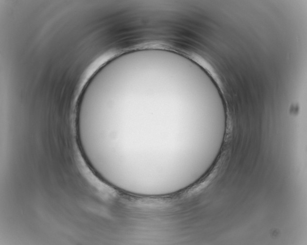 X0000092261090200709141021
