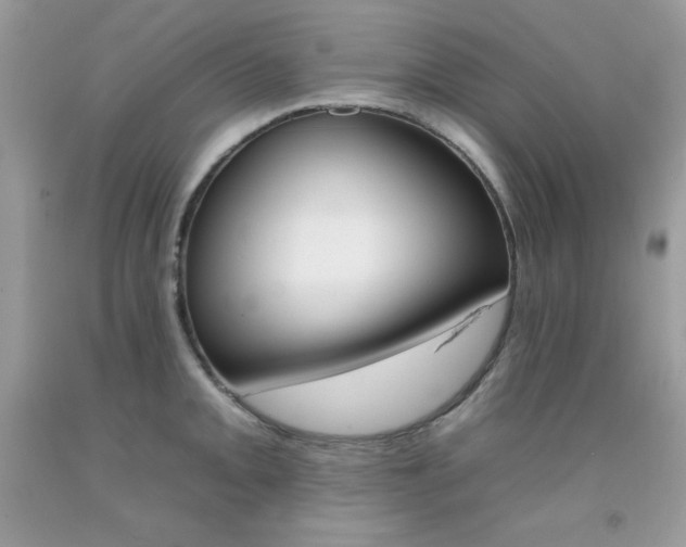 X0000092261093200709141021