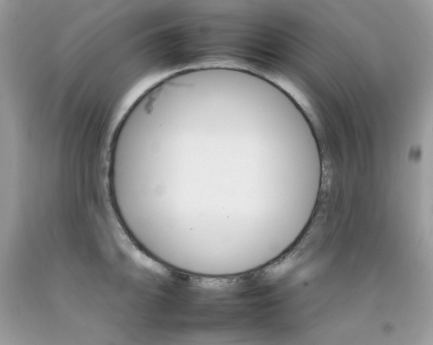 X0000092261094200709141021