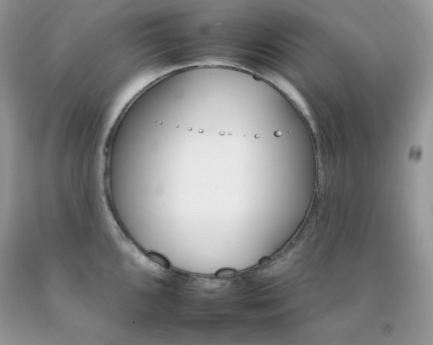 X0000092261096200709141021