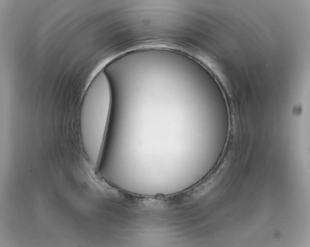 X0000092261097200709141021