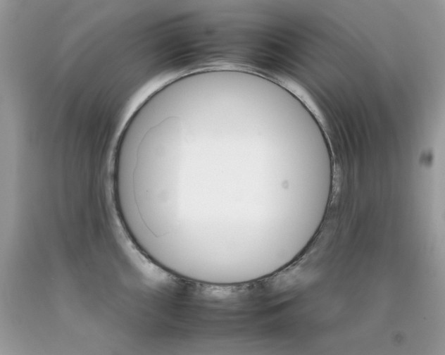 X0000092261098200709141021