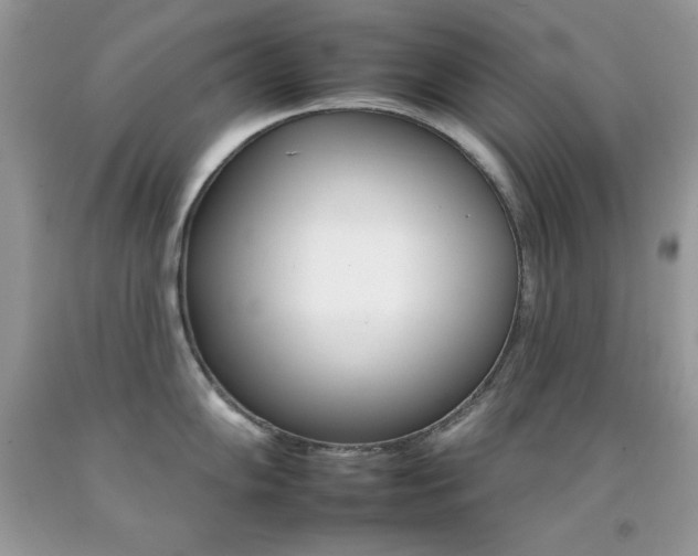 X0000092261102200709141021