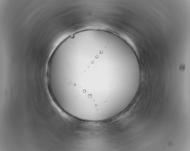 X0000092261103200709141021
